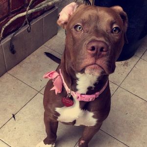 Meet your Posher, Julie